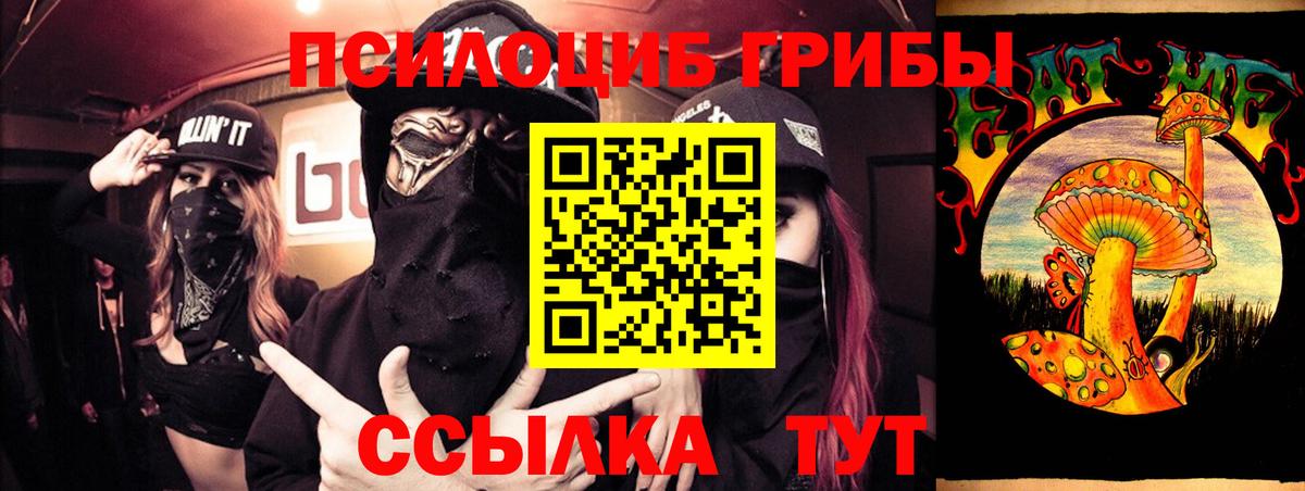 Галлюциногенные грибы Magic Shrooms Карталы