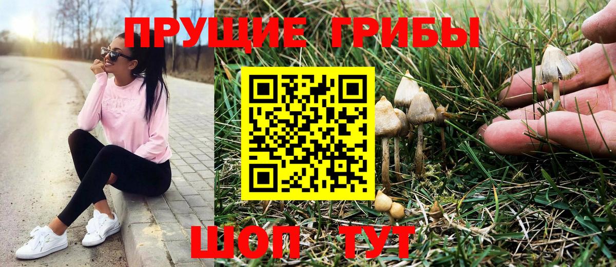 Карталы  наркошоп  Вход с VPN  Галлюциногенные грибы Psilocybe 
